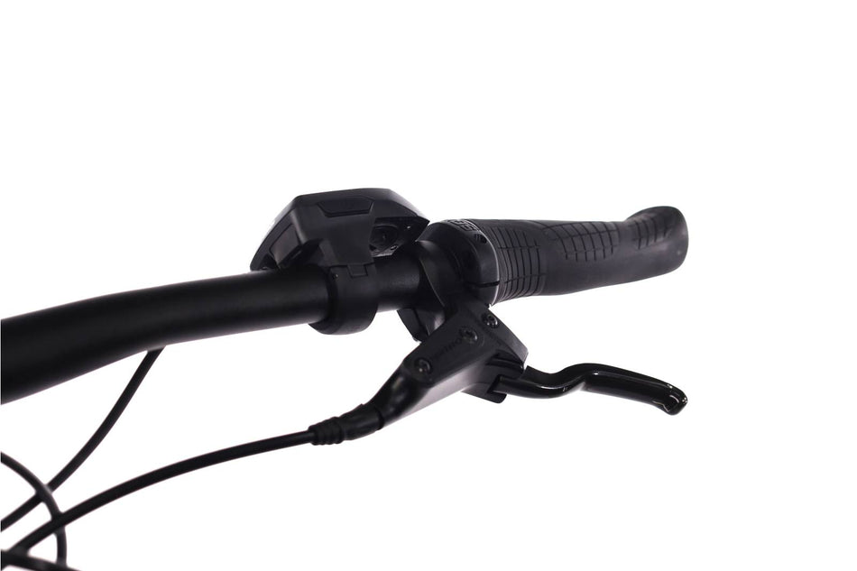 Trek Powerfly 4