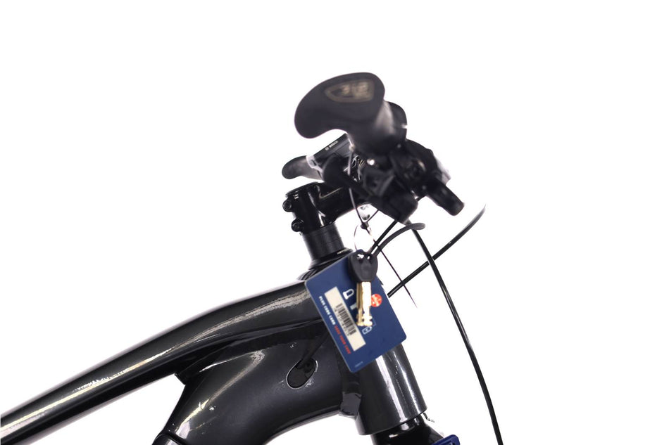 Trek Powerfly 4