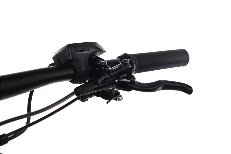 Lapierre Overvolt TR 5.6