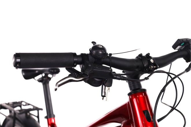 Liv Tempt E+ EX - EMTB Rigida