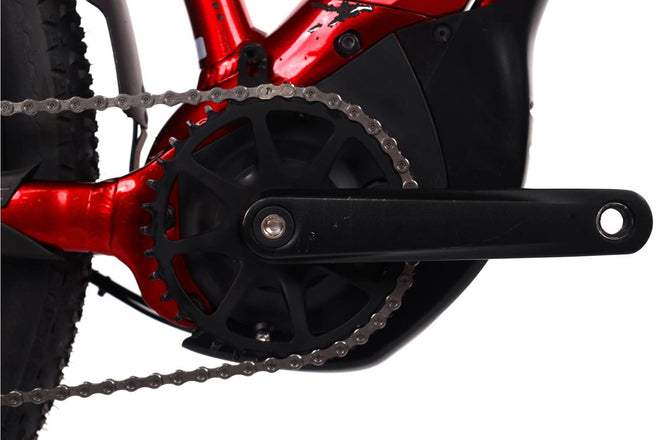 Liv Tempt E+ EX - EMTB Rigida