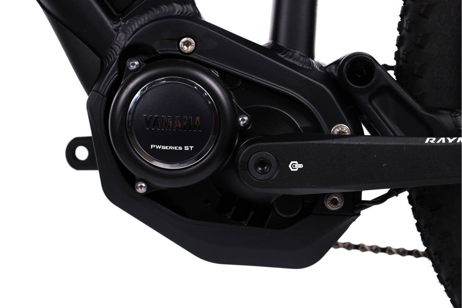 Raymon  FullRay E-Nine 5.0