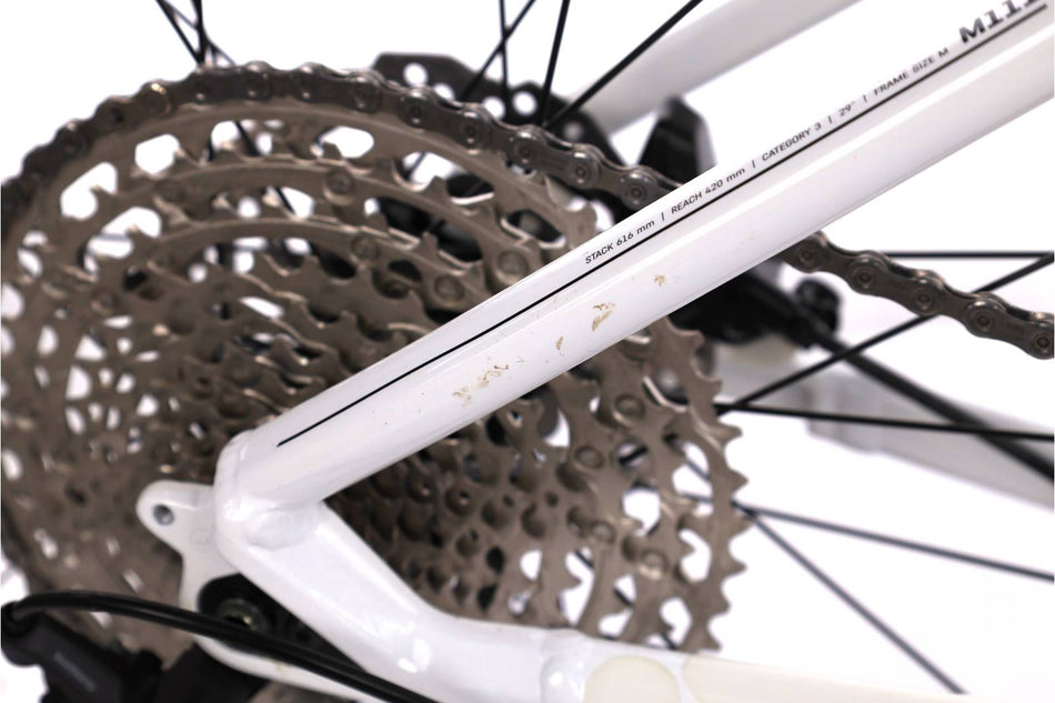 Canyon Grand Canyon WMN 8