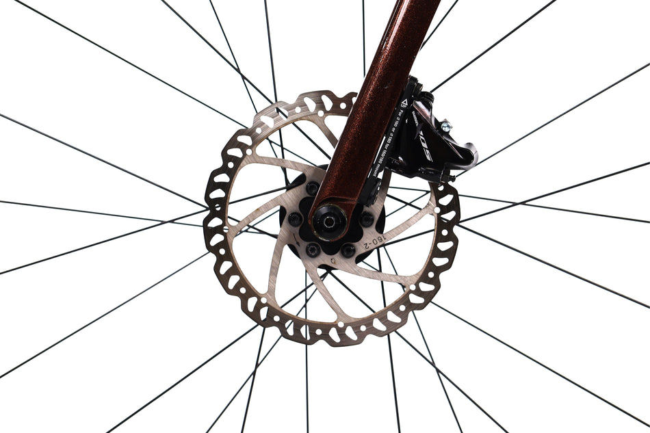 Giant TCR Advanced 2 - Bicicleta de carretera