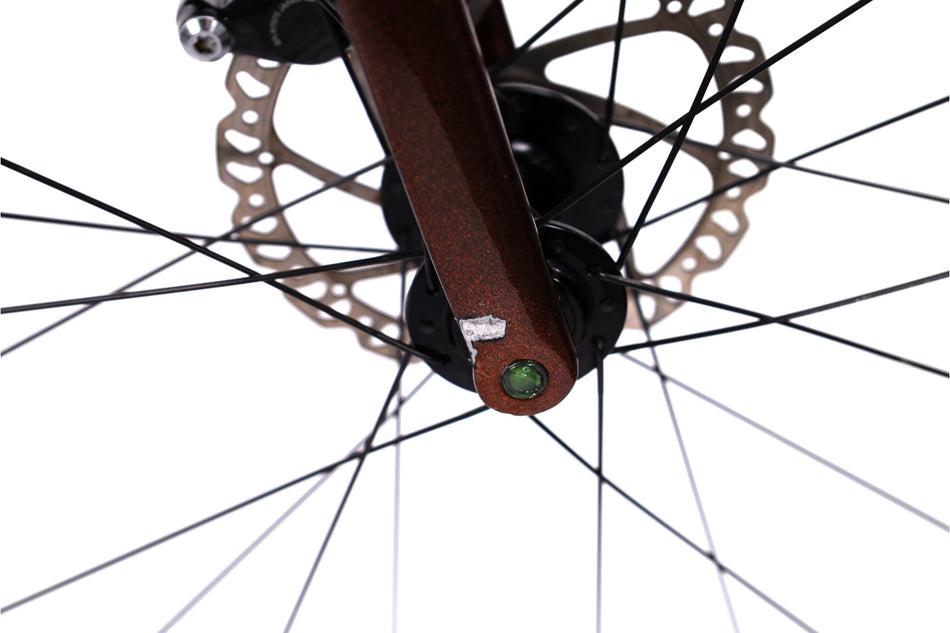 Giant TCR Advanced  2 - Bicicleta de carretera