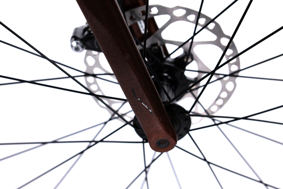 Giant TCR Advanced Disc 2 pro - Bicicleta de carretera