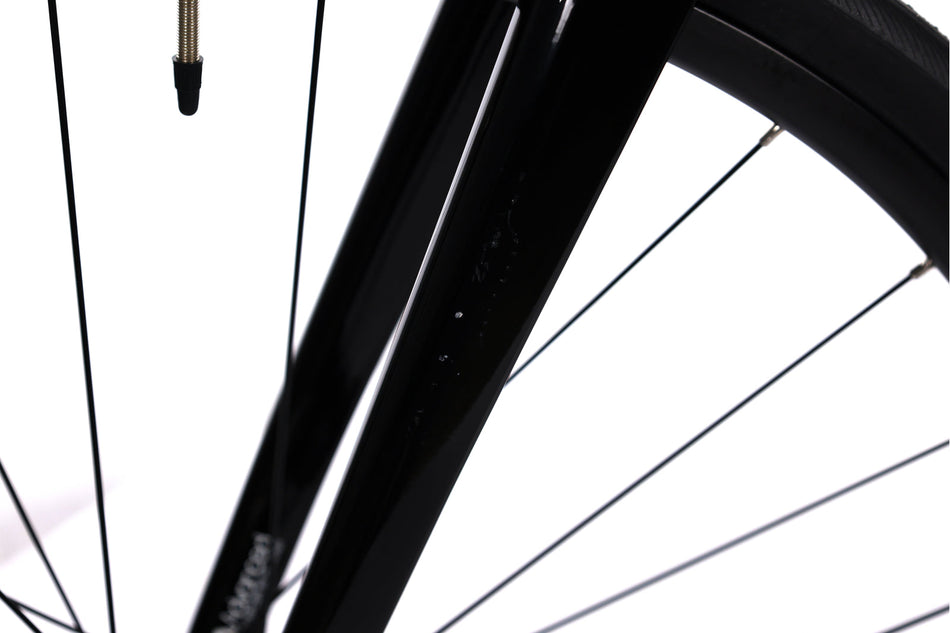 Giant TCR Advanced PRO 0 Disc - Bicicleta de carretera