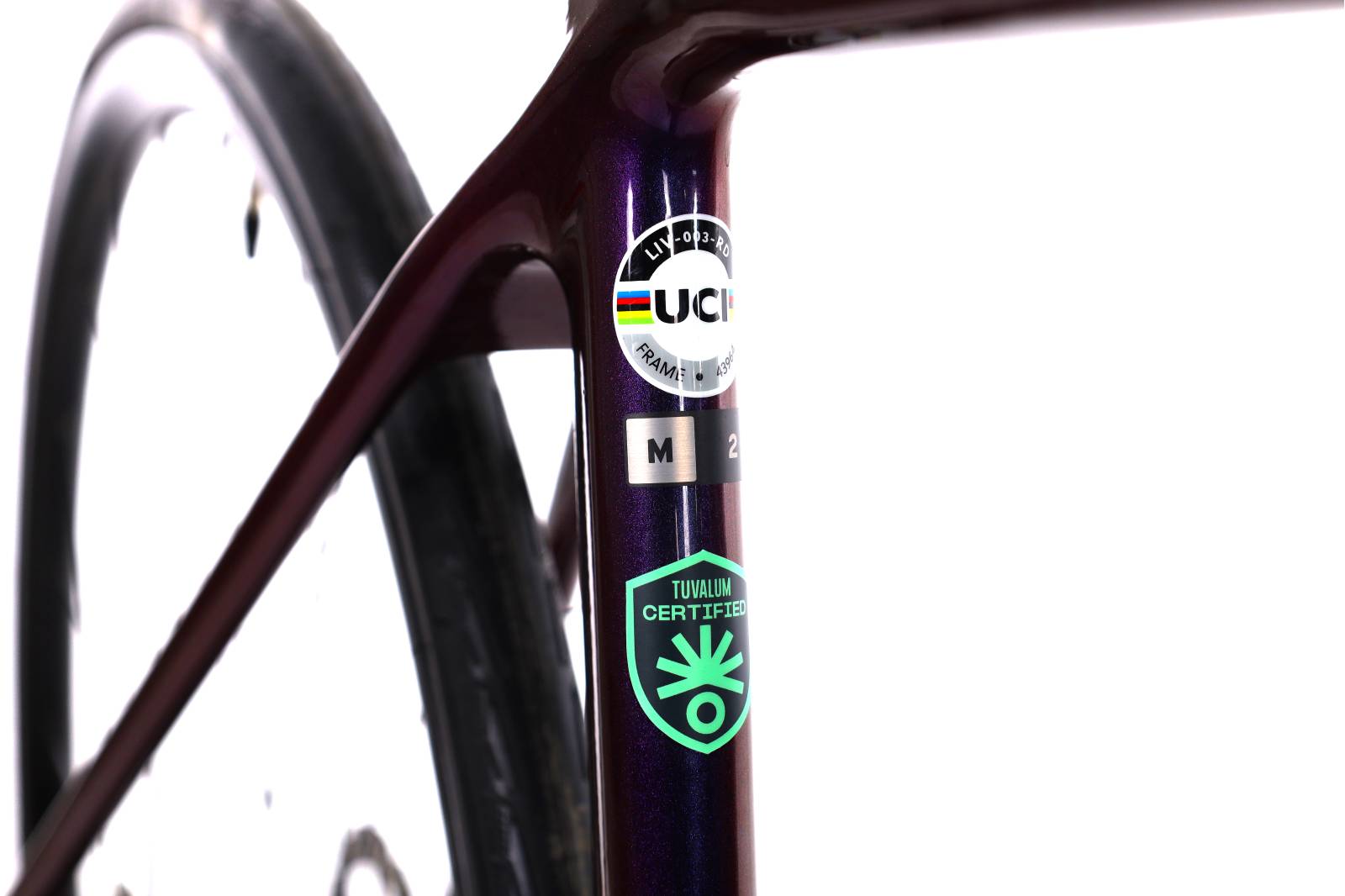 Liv Lagma Advanced 2