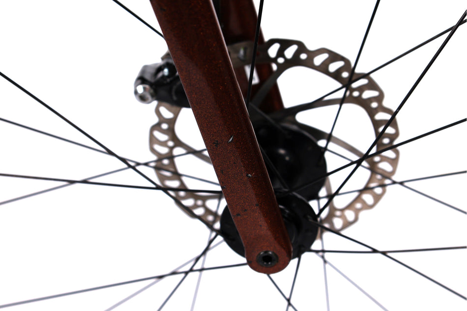 Giant TCR Advanced 2 - Bicicleta de carretera