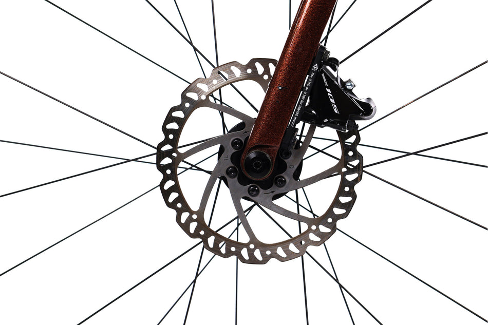 Giant TCR Advanced 2 - Bicicleta de carretera