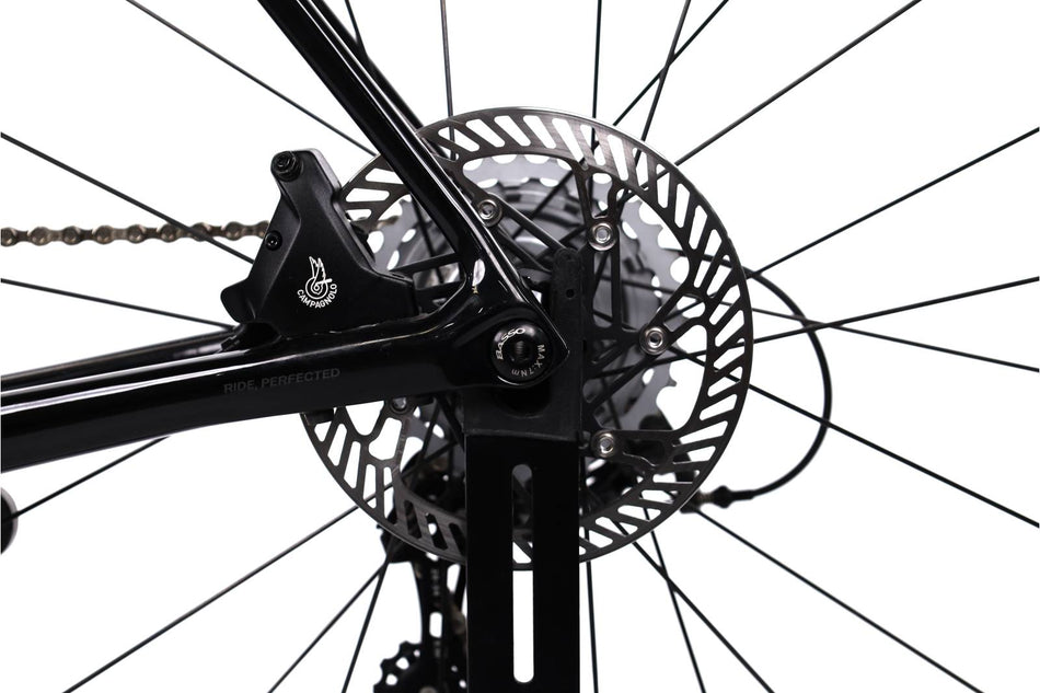 Basso Venta Disc Campagnolo - Bicicleta de carretera