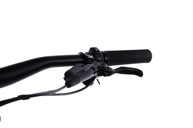 Specialized Turbo Levo Expert - EMTB Doble