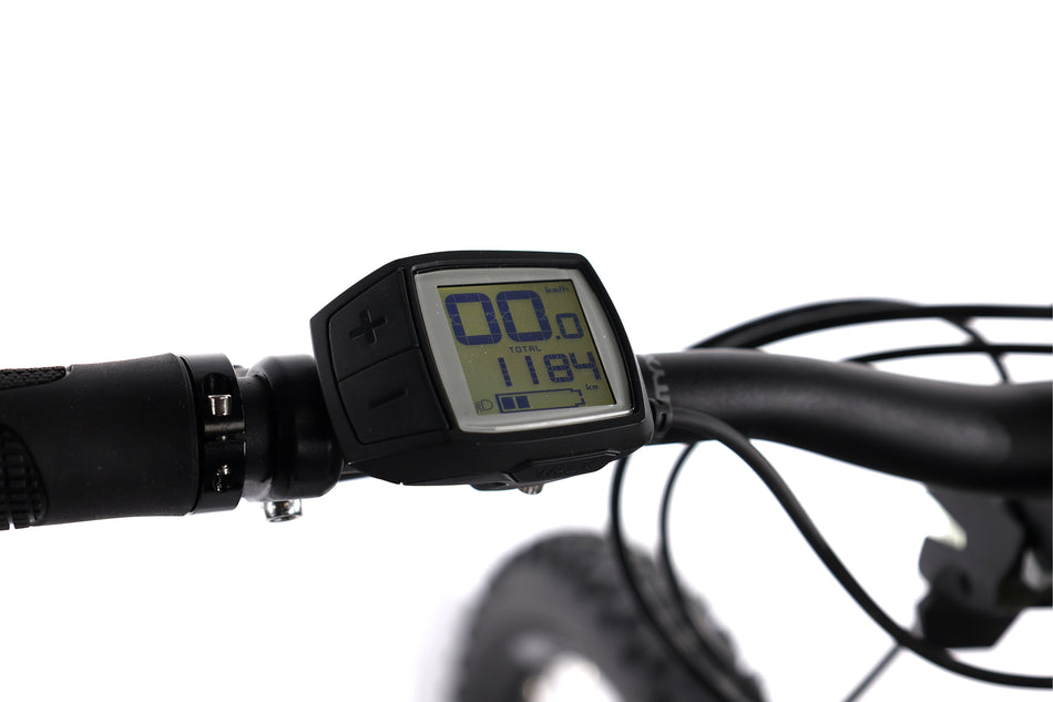 Bulls Copperhead EVO 1 - EMTB Rigida