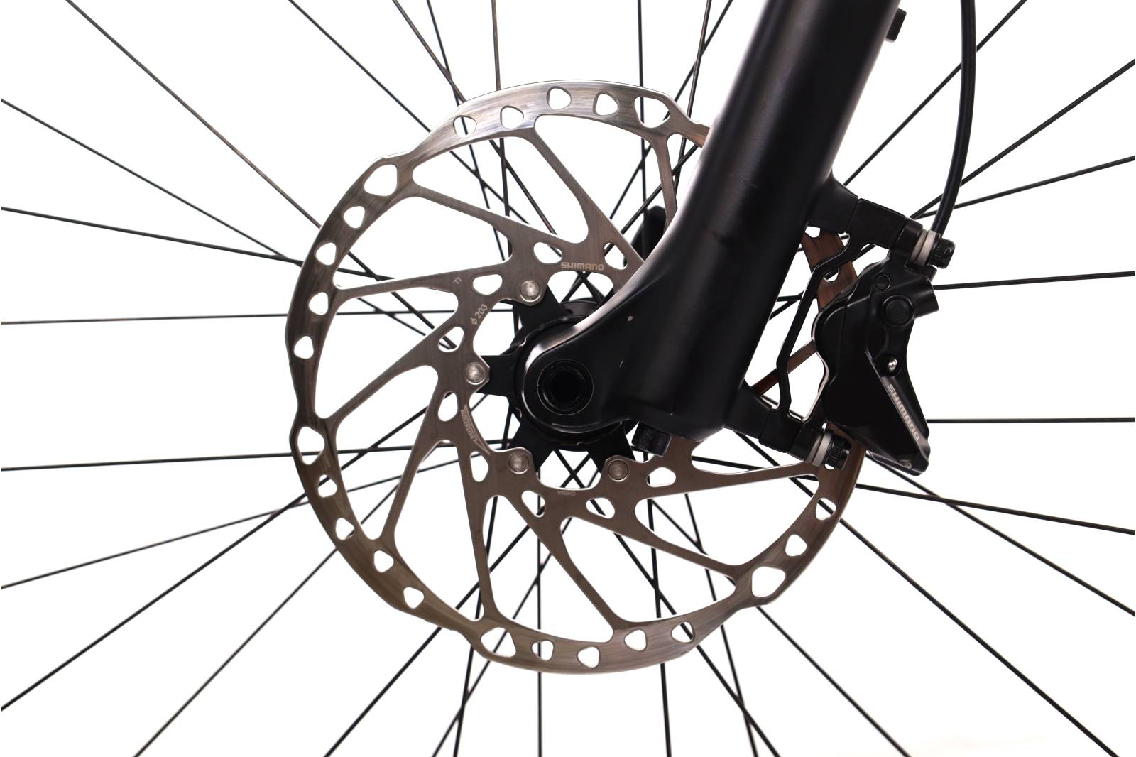 KTM Kapoho  Elite