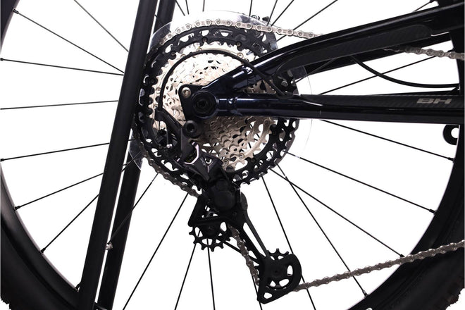 BH Atom-X Lynx 6 Pro - EMTB Doble