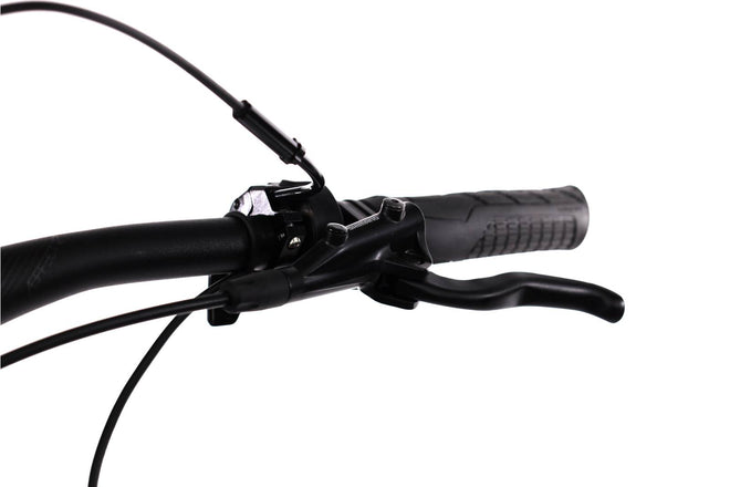 BH Ilynx Trail Carbon 8.6 - EMTB Doble