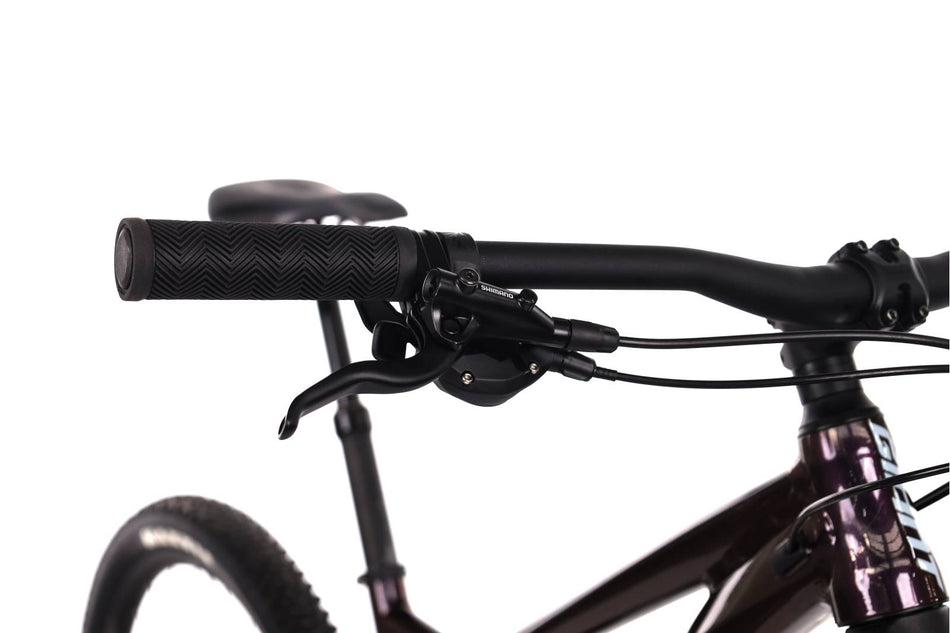 Giant Stance 29