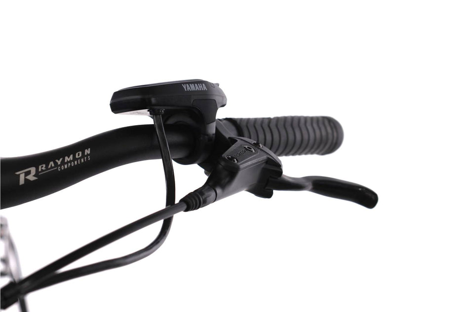 R Raymon CityRay  E 1.0 400 wave