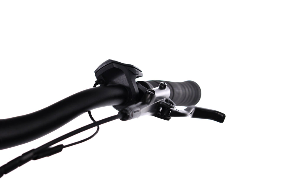 Carver Cityzen E.410 FL - EMTB Rigida