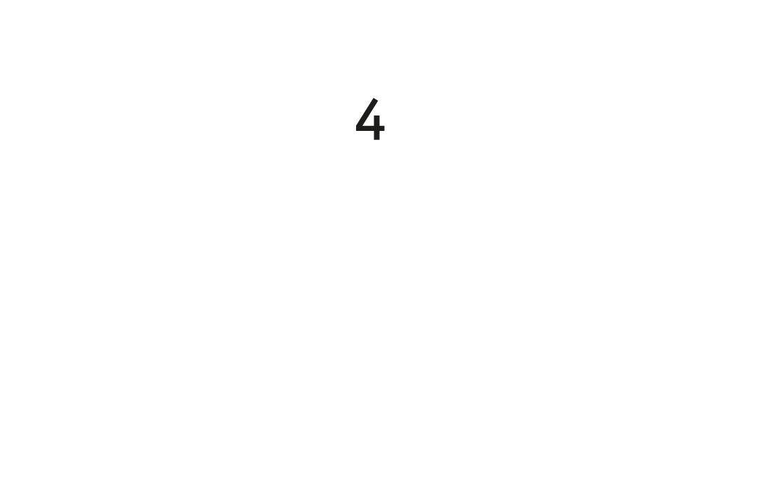 Schwalbe Proteccion Nivel 4