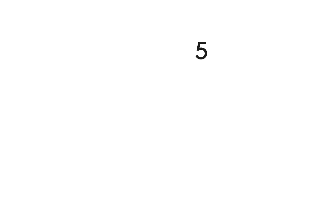Schwalbe Protección Nivel 5