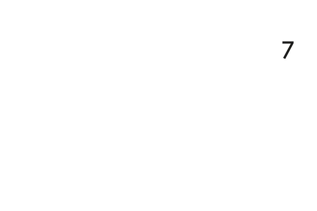 Schwalbe Proteccion Nivel 7
