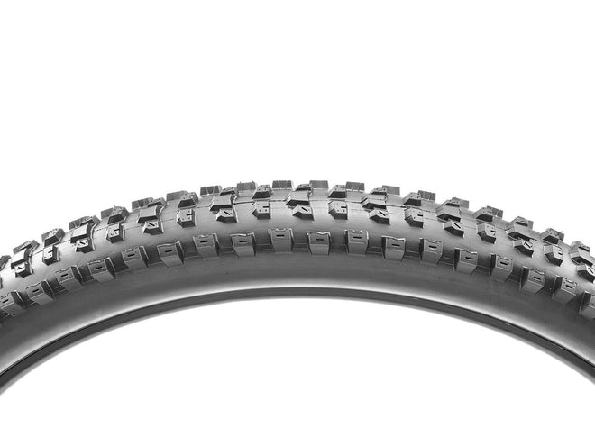 Pneu Maxxis Dissector  EXO+ Protection – 3C MaxxTerra – Tubeless Ready