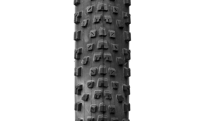 Pneu VTT XC Maxxis Rekon Race WT Exo Protection MaxxSpeed TLR #5