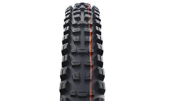 Pneu Schwalbe Romy Radial - Trail Pro - Soft - tubeless ready