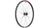 Roue avant VTT DH DT Swiss FR 1500 CLASSIC 20x110 mm