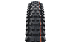 Pneu Schwalbe Albert Radial - Trail PRO - Soft - Tubeless Ready