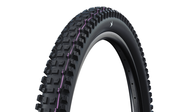 Pneu Schwalbe Albert Radial - Gravity Pro - Ultra Soft - Tubeless Ready
