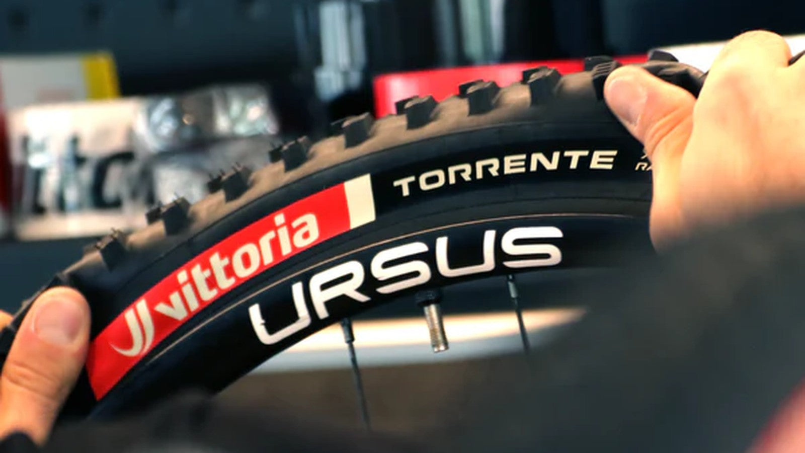 Pneu VTT Vittoria Torrente XC Race avec technologie Graphene et carcasse Nylon, prêt pour tubeless et performance optimale
